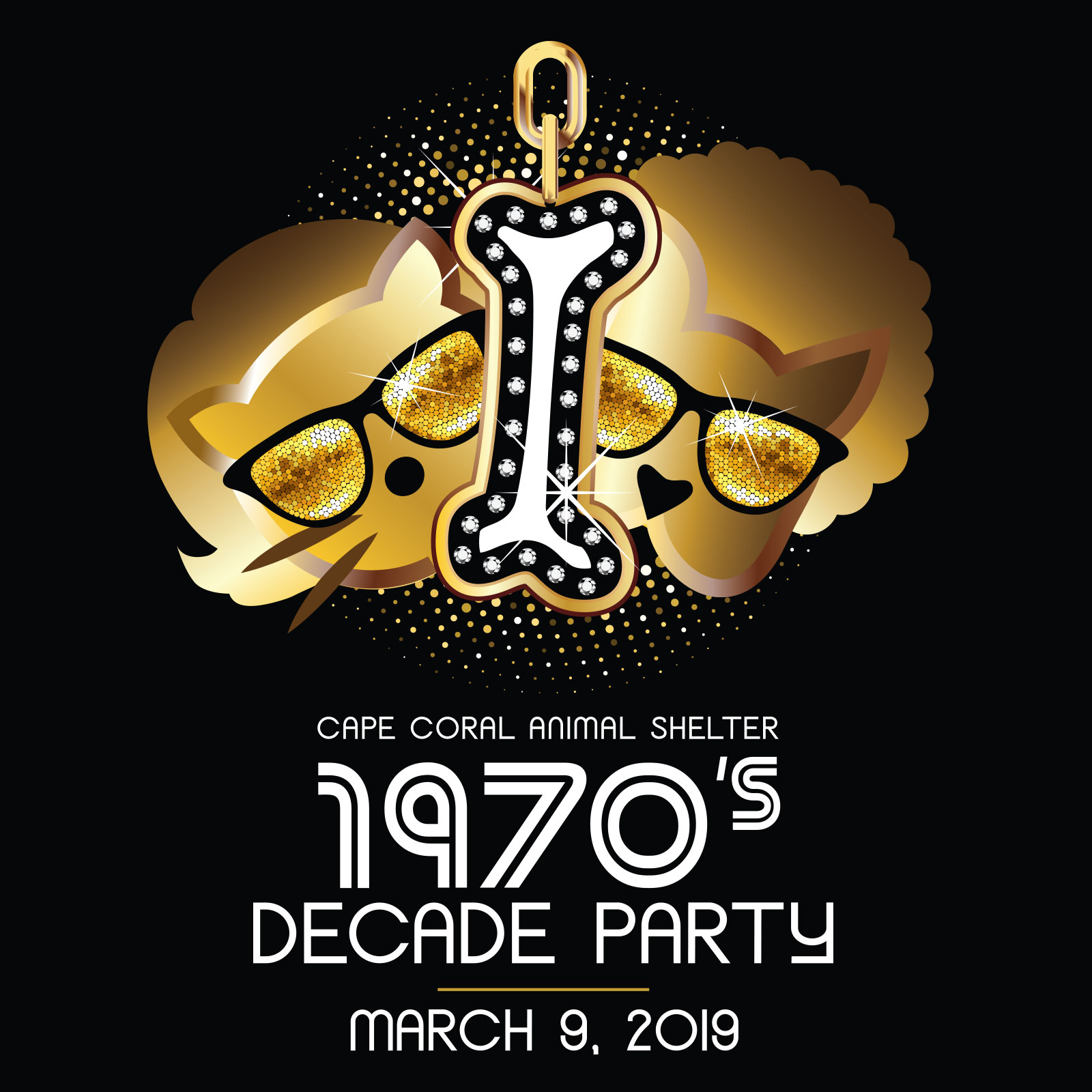 CCAS 1970's Decade Party