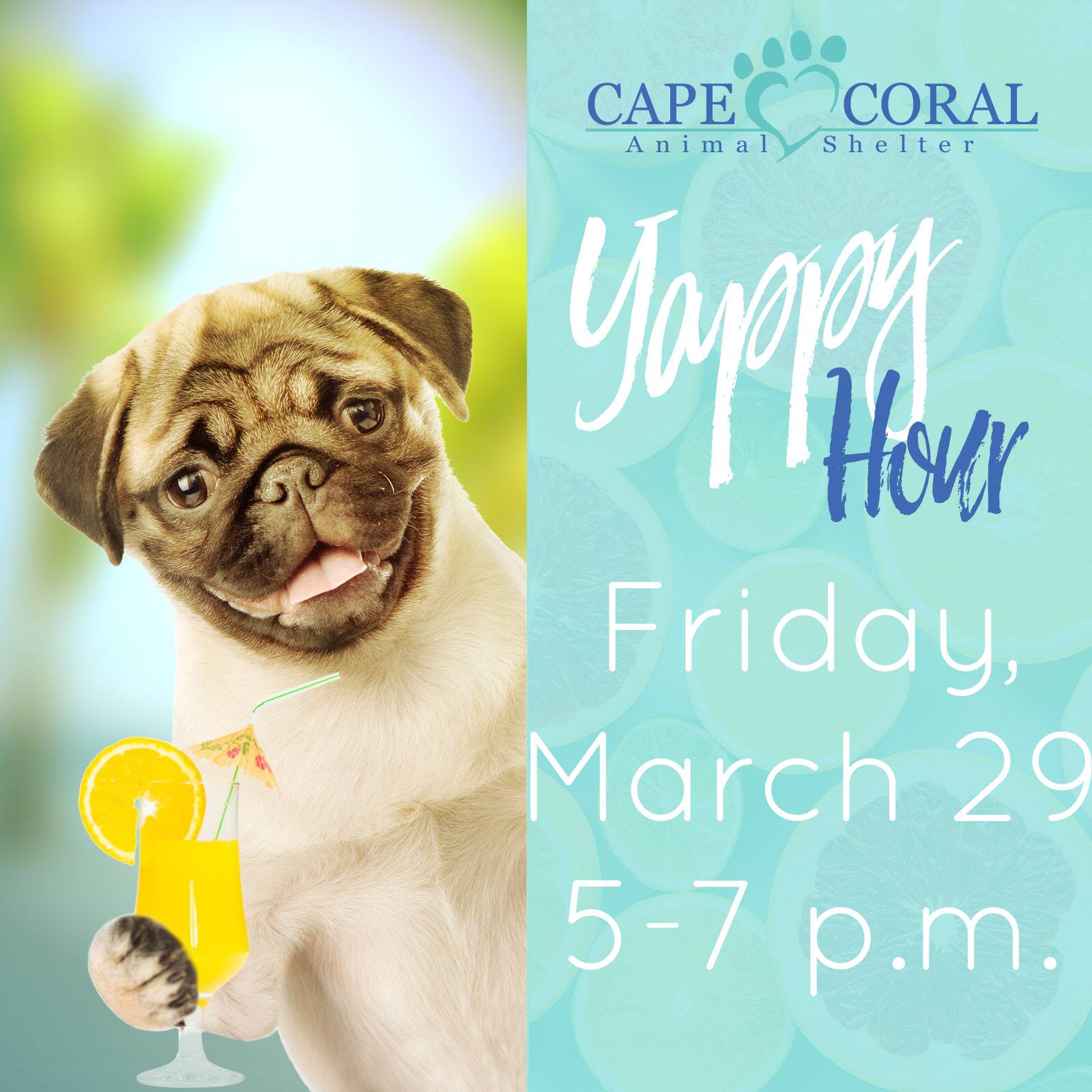 March Yappy Hour
