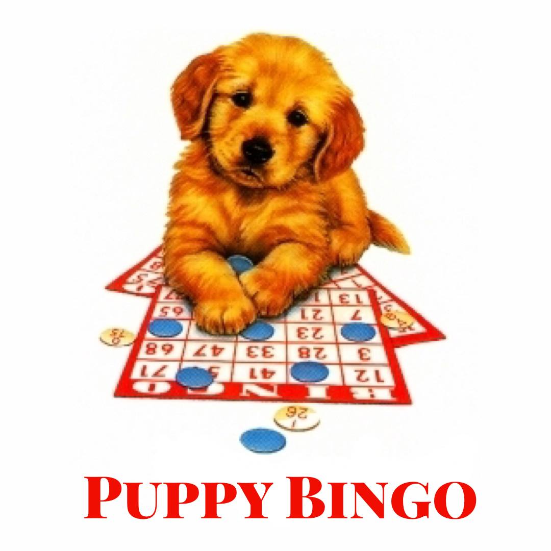 Puppy Bingo