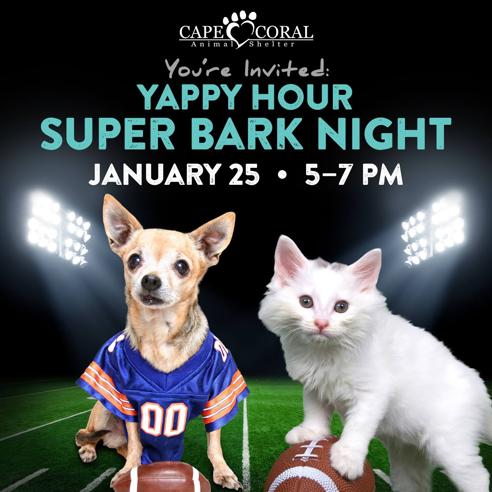 Yappy Hour Super Bark Night