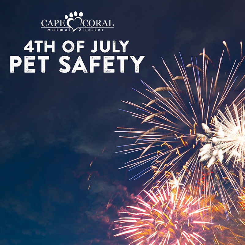 4th of July Pet Safety