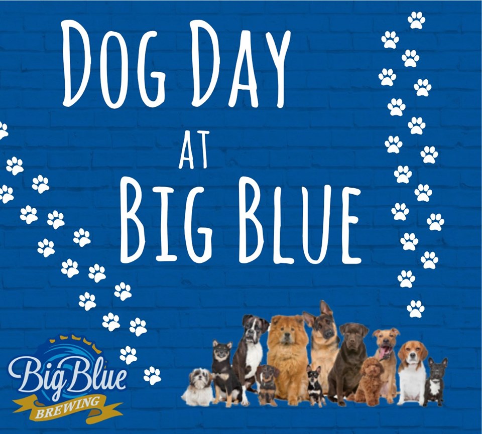 Dog Day at Big Blue Brewing