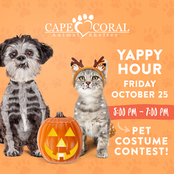 October 2019 Yappy Hour