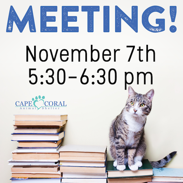 CCAS November General Meeting