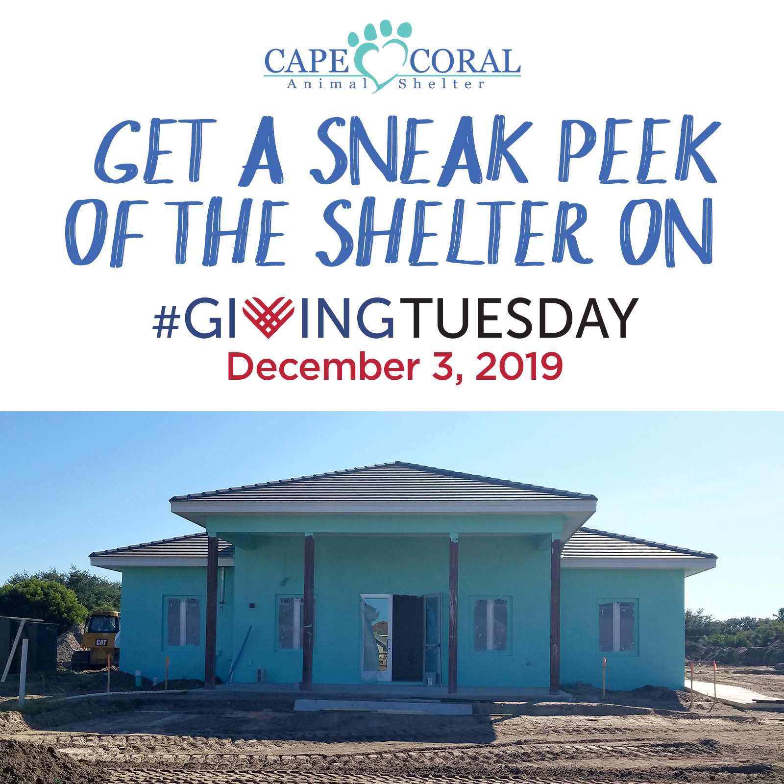 Giving Tuesday Shelter Sneak Peek