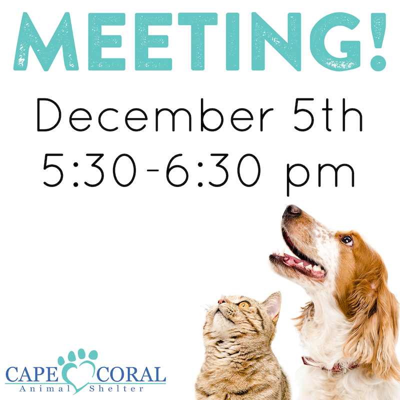 December General Meeting