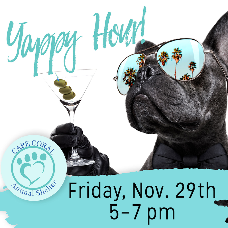 November Yappy Hour