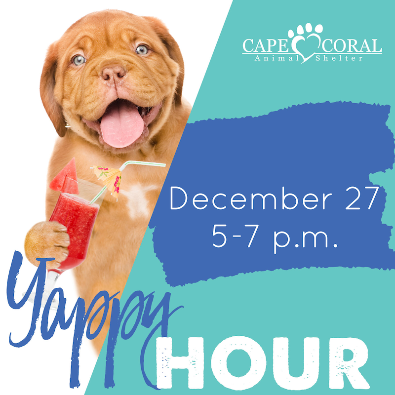 December Yappy Hour