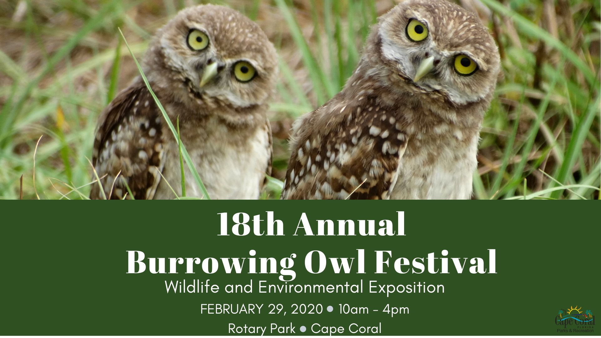 18th Annual Burrowing Owl Festival Cape Coral Animal Shelter