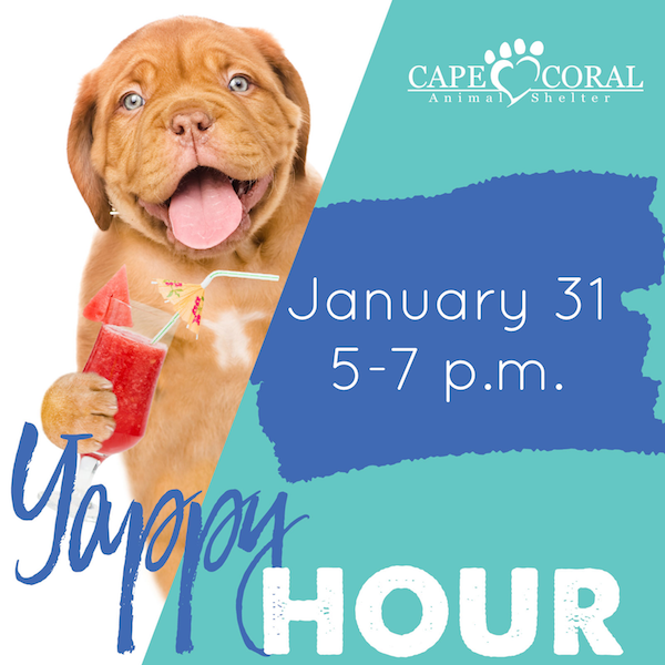 January Yappy Hour