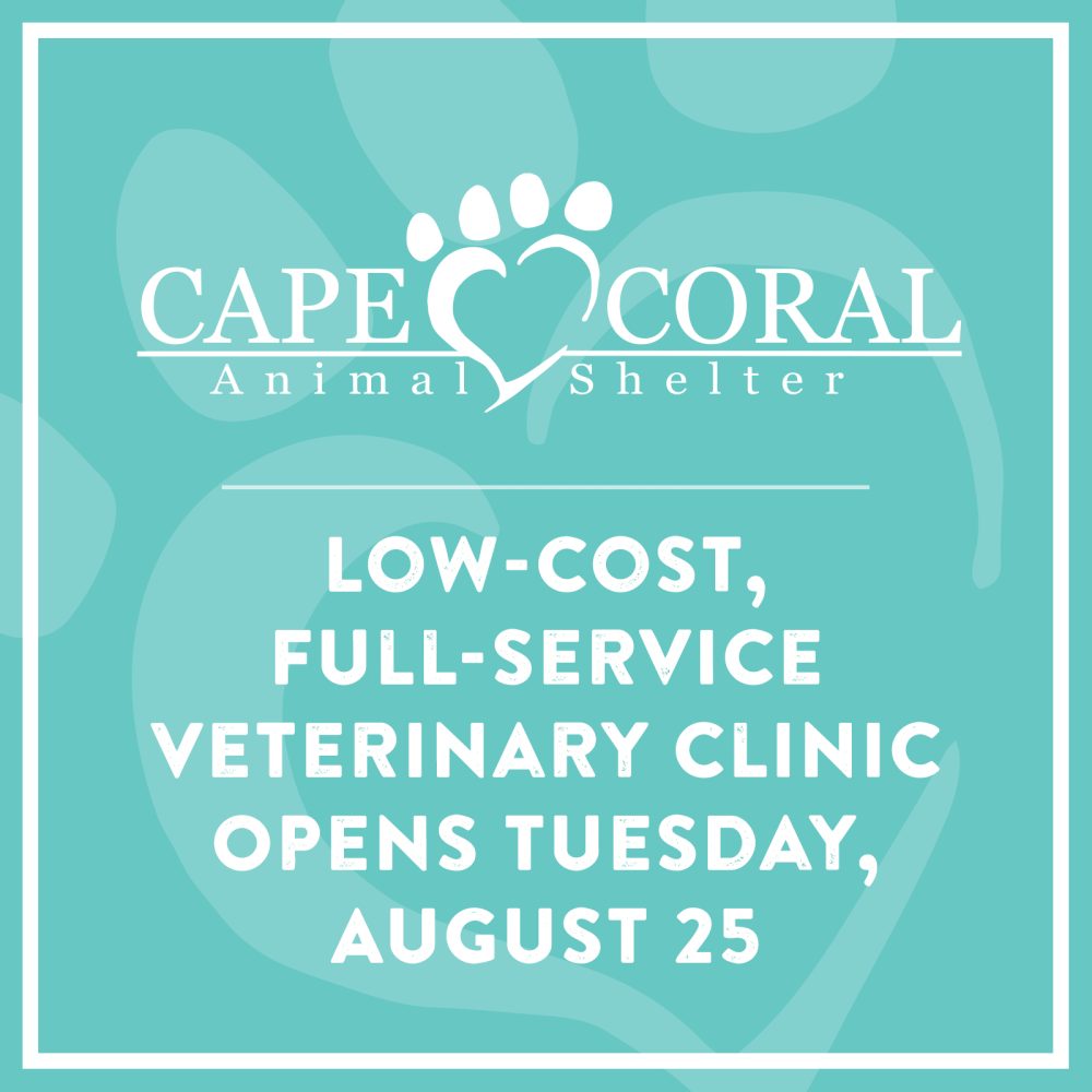 Veterinary Clinic Opens Cape Coral Animal Shelter