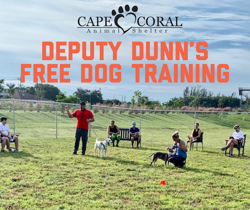 Deputy Dunn's Free Dog Training
