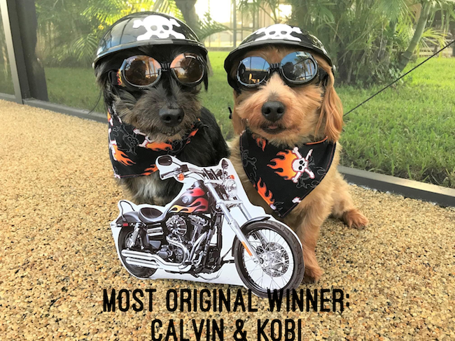 Most Original Winner Calvin and Kobi