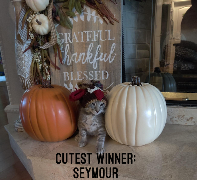 Cutest Winner Seymour