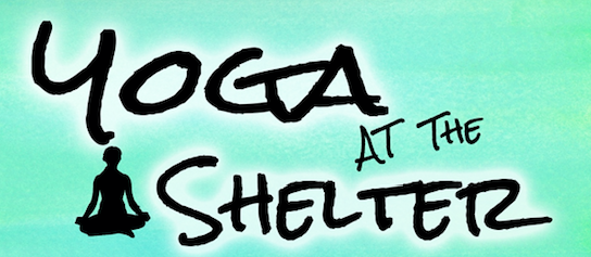 Yoga at the Shelter