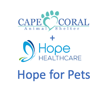 Hope for Pets, Foster Program for Hospice Patients