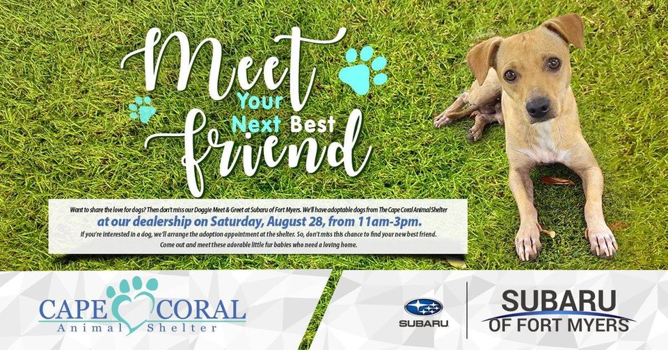 Subaru Meet and Greet Adoption Event