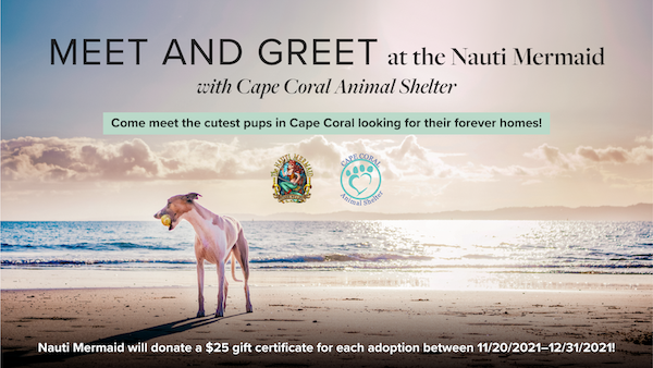 Cape Coral Animal Shelter Meet and Greet Adoption Event at the Nauti Mermaid