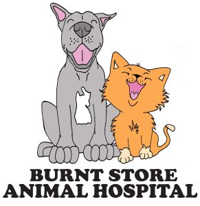 Burnt Store Animal Hospital