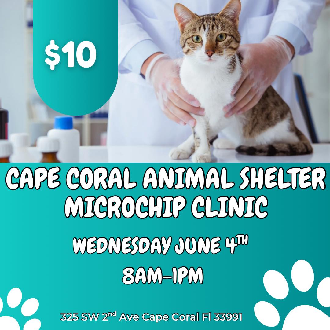 CCAS Microchip Clinic