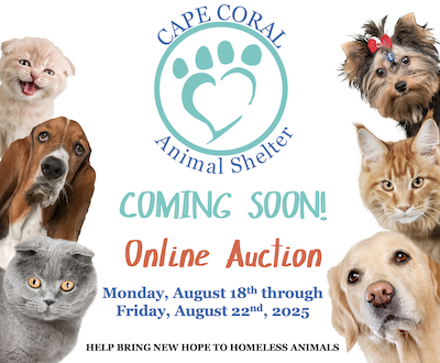 CCAS 2025 Online Auction