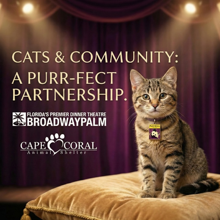 CCAS Partners with Broadway Palm for CATS