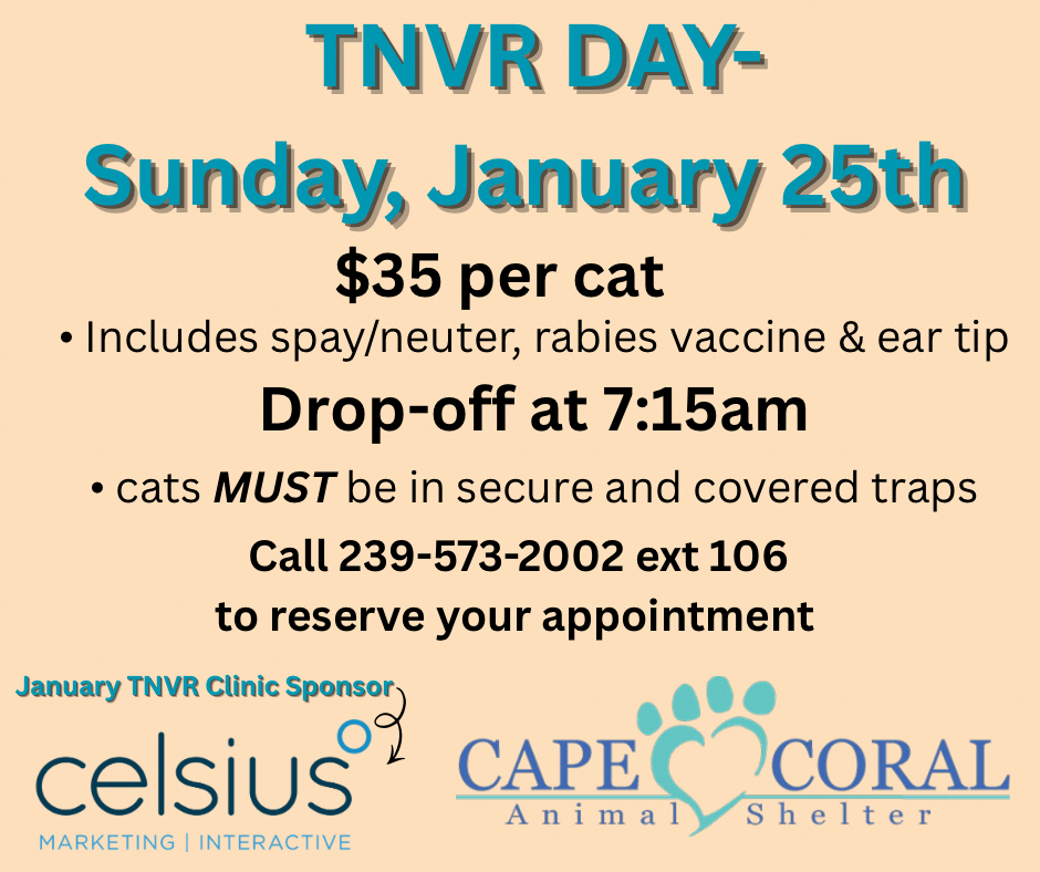 CCAS TNVR Day on January 25, 2026