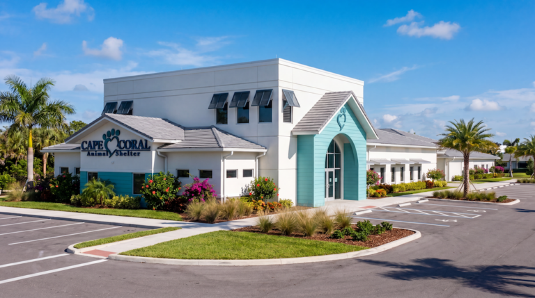 CCAS New Building Rendering